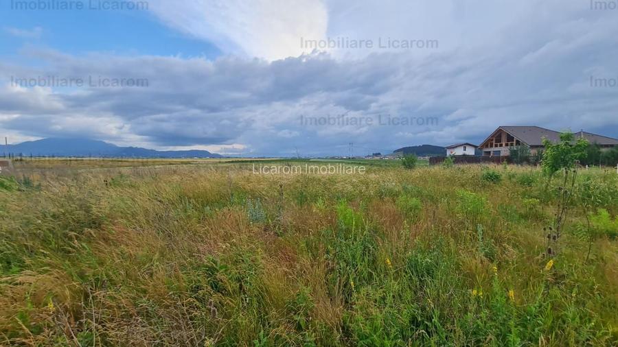 De vanzare teren  502 mp Harman Aleea 14 pret 40000 euro - 7