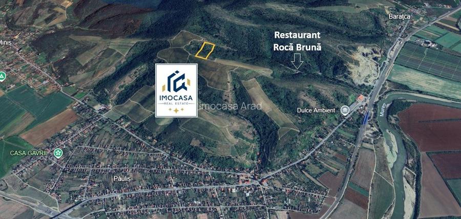 De Vanzare Teren extravilan 6722 mp Păuliș – zona Roca Bruna, Arad - 3