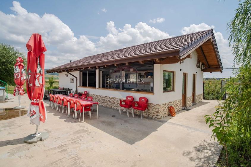 Complex cu Piscină/Cazare de Vânzare, 10.777mp Teren - DN24, Vaslui - 5