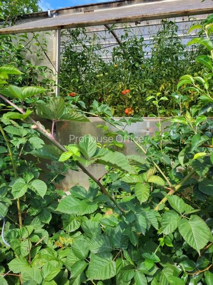 Refugiu verde în Snagov – Confort, spațiu și independență - 10