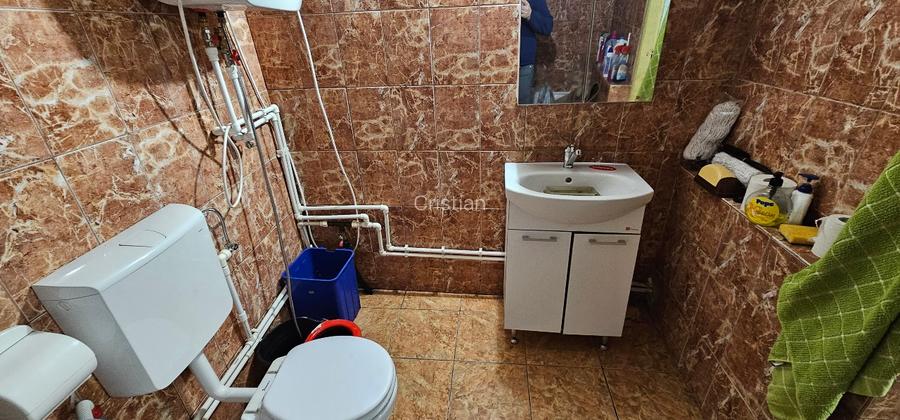 VÂNZARE MOȘIE – Sat Mitrofani, Comuna Mitrofani, jud. Vâlcea - 10