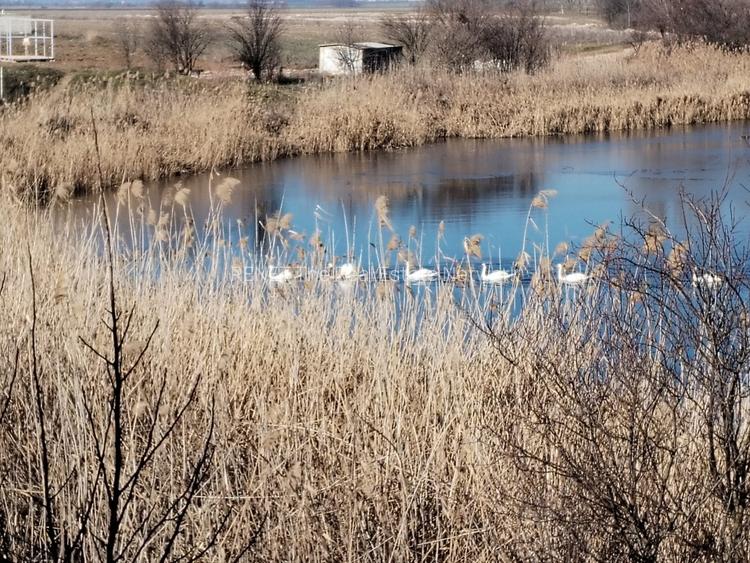 Teren intravilan 609 mp Vidra, deschidere 24 m, ideal pentru construcție - 5