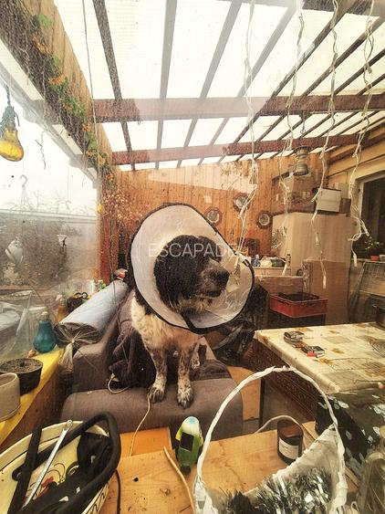 OPORTUNITATE! Casă ultracentrală Sânpetru + teren 1167 mp | Lângă biserică - 23