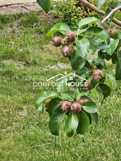 Vila D+P+E+M, teren 898mp, piscina, IANCU NICOLAE-Cambridge School - 55