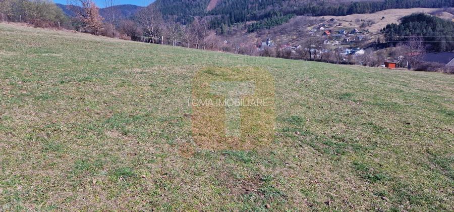 Teren intravilan de 4.000 mp în Bistrița – Alexandru cel Bun - 10