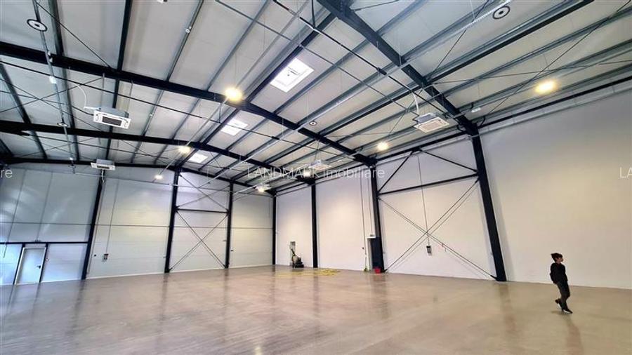 Hala noua de inchiriat , zona Lugojului - Aeroport Tmisoara - 3