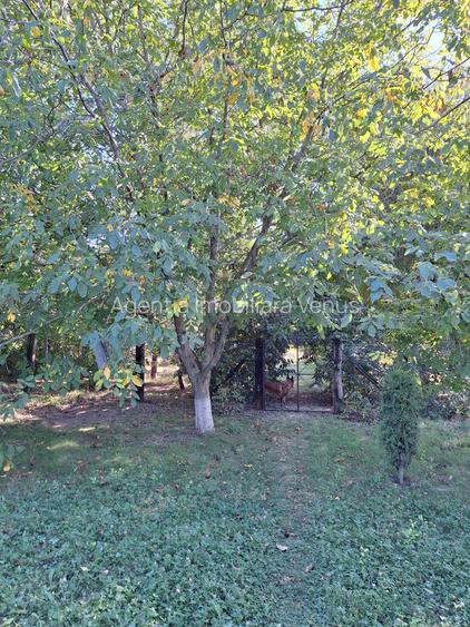 Casa mobilata si utilata in Catamaresti Deal - 5