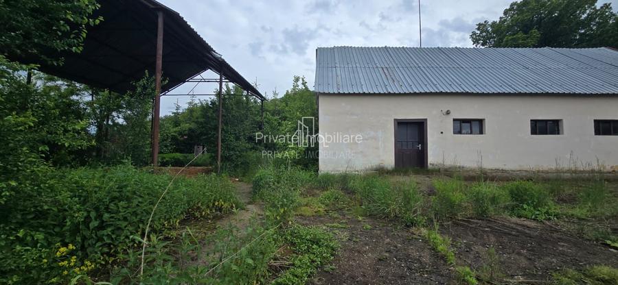 Teren agricol extravilan, 16000 Mp si 1234 Mp, Rora, Sighisoara - 4