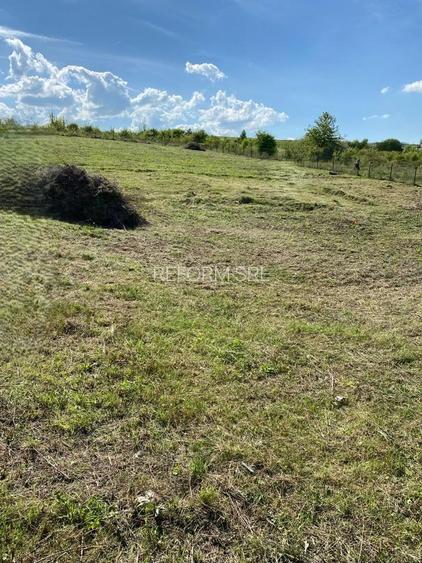 De vânzare teren intravilan, Sălicea – 1711 mp, parcelabil - 3