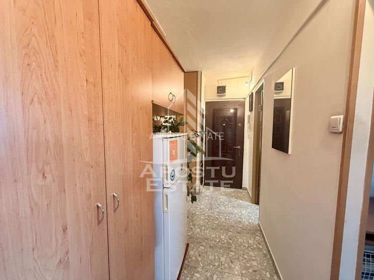 Apartament 1 camera de vanzare, zona Lunei, Timisoara - 9