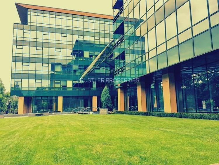 Spatiu de birou pentru inchiriat in cladirea myhive S-PARK - Casa Presei-Miorita - 6