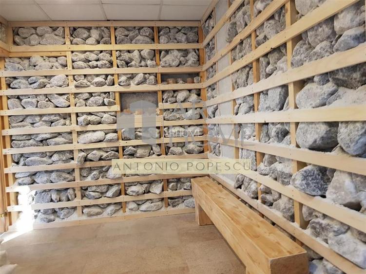 Casa S+P+1+M, Paulestii Noi, cartier privat cu SPA si teren de sport - 30