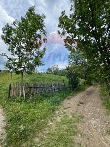 Teren 6,865mp Voroneț / Gura Humorului / Bucovina - 21