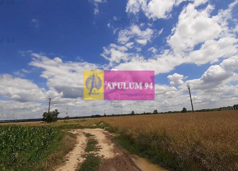 Teren 715mp în Snagov lângă Equestria - 53