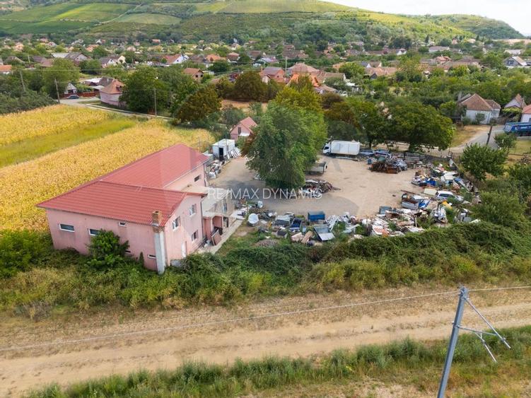 Spațiu industrial cu potential de vanzare in Paulis,Arad - 21