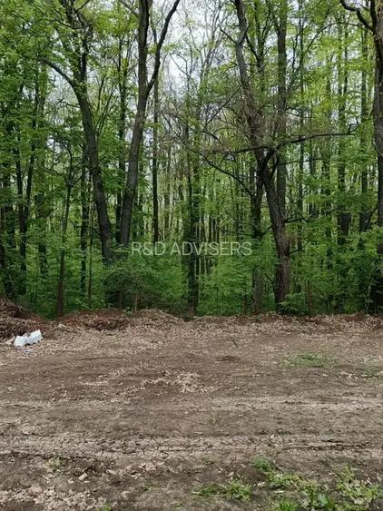 Duplex Exclusivist si curte privata Iancu Nicolae - 9