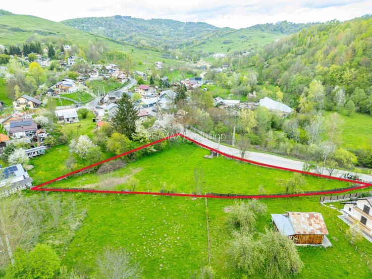 Teren intravilan 2221 mp Breaza / Strada Ocinei / Valea Tarsei - 2