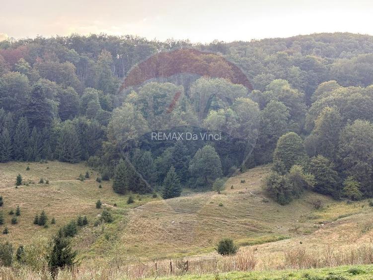 TEREN EXCLUSIV PENTRU INVESTIȚIE ÎN ZONĂ DE AGREMENT – BRAȘOV, DN 1E - 6