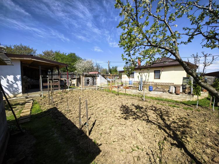 Casă 4 camere plan parter cu beci și anexe + 720 mp curte - 19