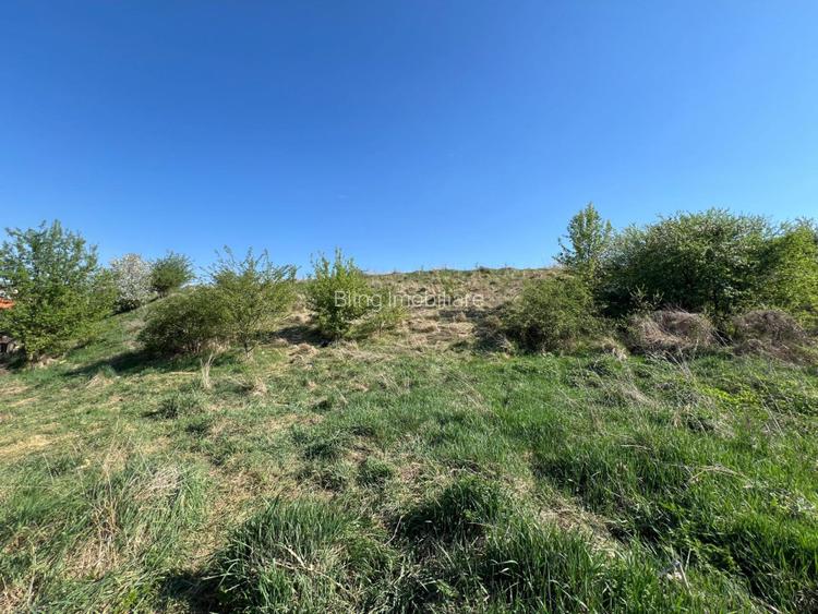 Teren intravilan de 3800 mp, zona Chinteni - 3