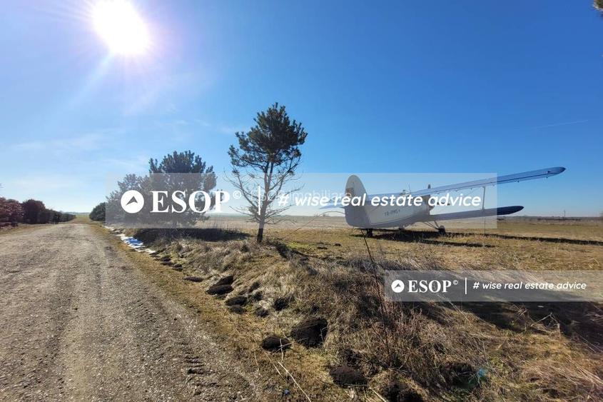 Teren de vanzare, Dascalu, ID 15402 - 14