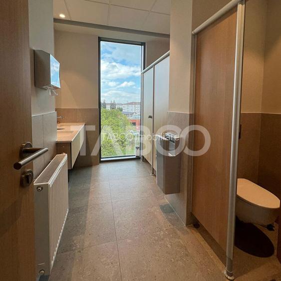 Birouri premium in Sibiu–Spatii flexibile moderne pentru companii - 5