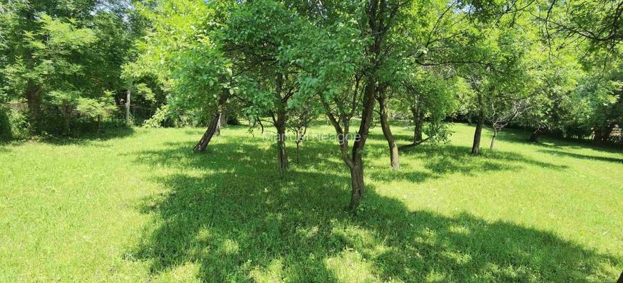 Teren intravilan Talea situat in mijlocul naturii ! - 6