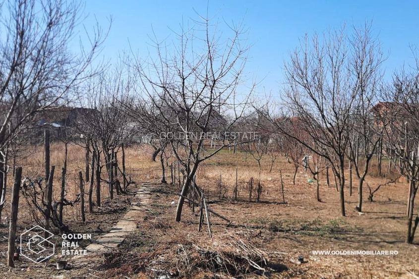 Casa mare in Paulis, la drumul principal, 1500 mp teren - 5