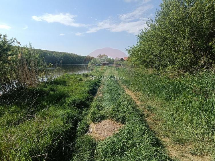 Vanzare Teren Constructii Langa Lac și Padure | Branesti | Ocazie! - 4