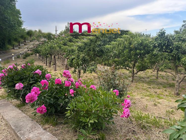 Terenn 2800 mp+ Casa  , oaza de liniste si relaxare - 5