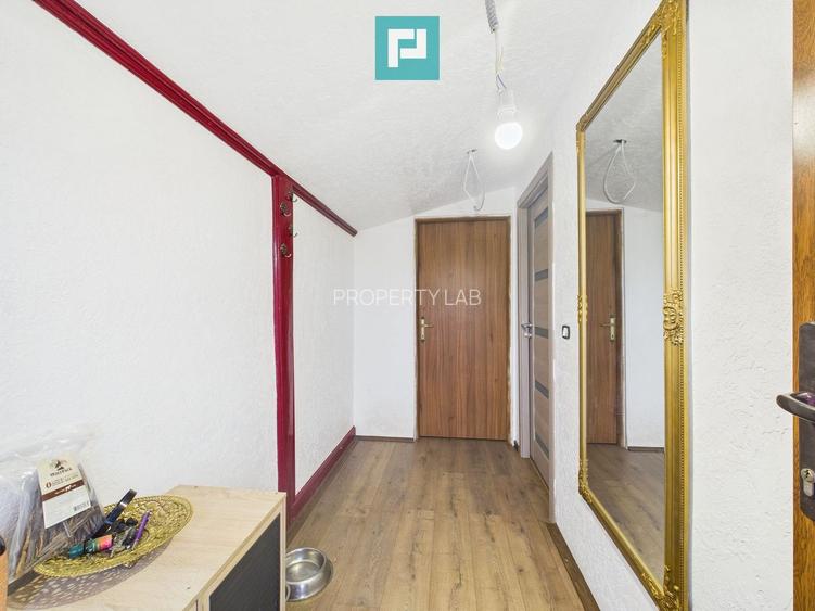 Două case pe un teren generos în Ghiroda - 10