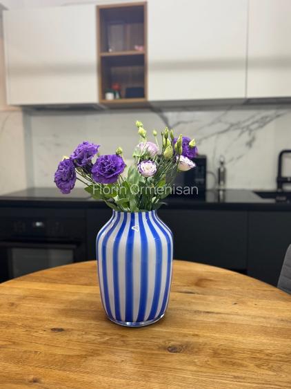 Apartament 2 dormitoare Aleea Cornisa UMF - 8