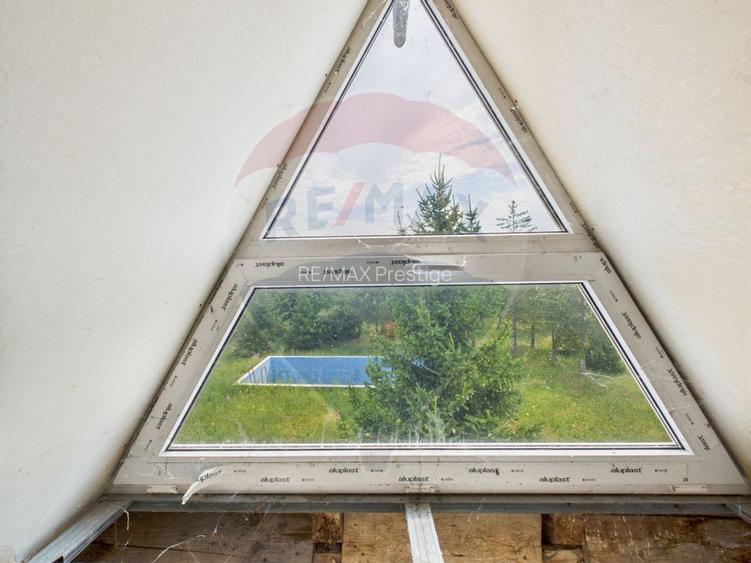 Proprietate speciala Dragomiresti Deal -Teren 15000 mp - 33