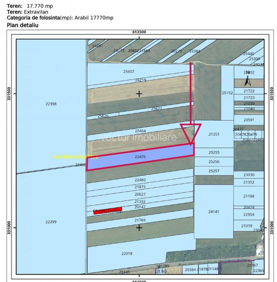 Teren intravilan Belciugatele*300 m de DN*Linie de tensiune medie*Plata in rate - 8