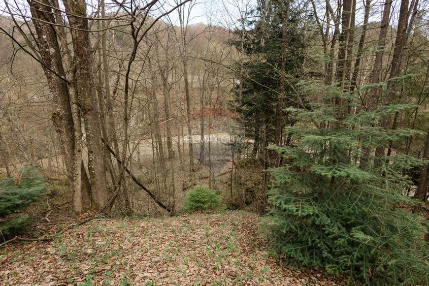 Casa si teren intravilan Tarcau - 21