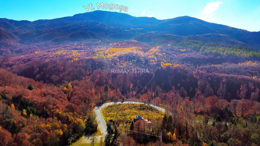 DE VANZARE Cabana-DN Baia Mare–Sighet cu 29AR - 4