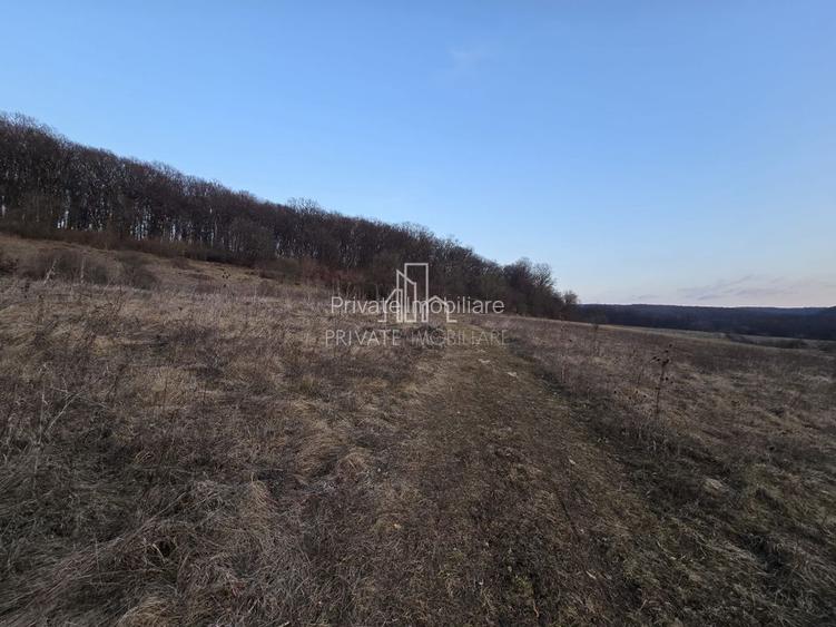 Teren extravilan 28.800 Mp , zona Rora, Sighisoara - 2