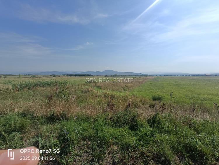 Teren de vanzare -Reghin - Dedradului 5000 mp - 3