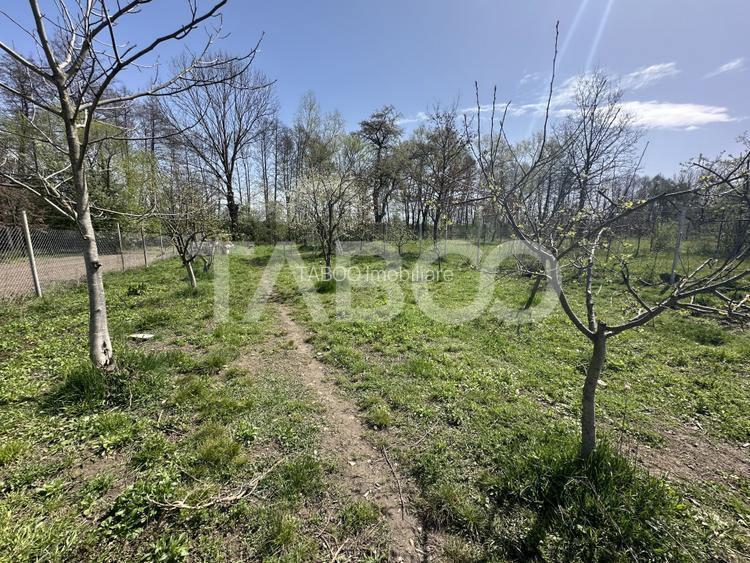 Casa de vanzare 5 camere zona barbeque  salon de evenimete ciubar - 35