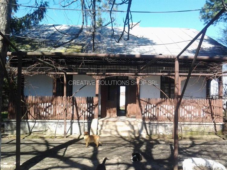 Teren intravilan Mogosesti | Giurgiu | 370.000mp | Adunatii Copaceni - 11