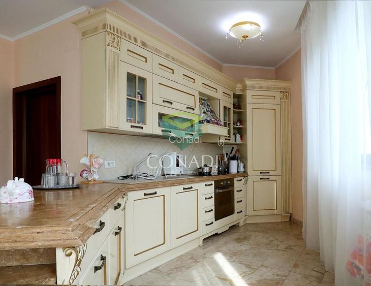 Iancu Nicolae, vila cu 5 camere de inchiriat, 291 mp utili - 7