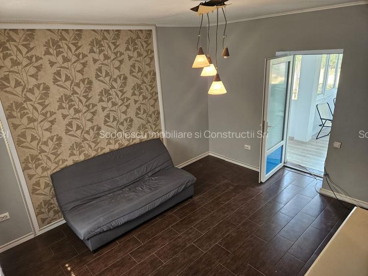 Casa Beregsaul mic+teren 1550 mp - 3