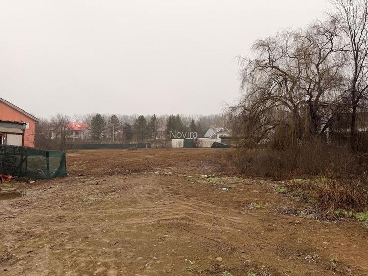 Teren Snagov - Cioflinceni | Drum amenajat | Aproape de Padure si Lac - 8