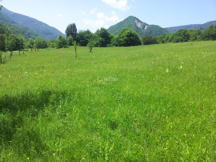 Teren unicat 73000 mp baraj Siriu - 5