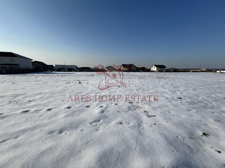 Teren intravilan cu toate utilitatile. Mosnita Veche - 5