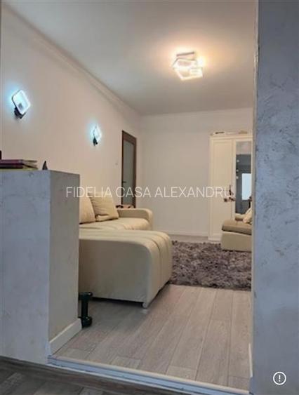 Apartament 2 camere de vanzare zona Alexandru - 2