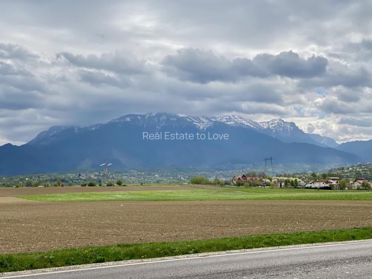 Teren plat P +4 Bran, panoramic munti, DN73, toate utilitatile - 10