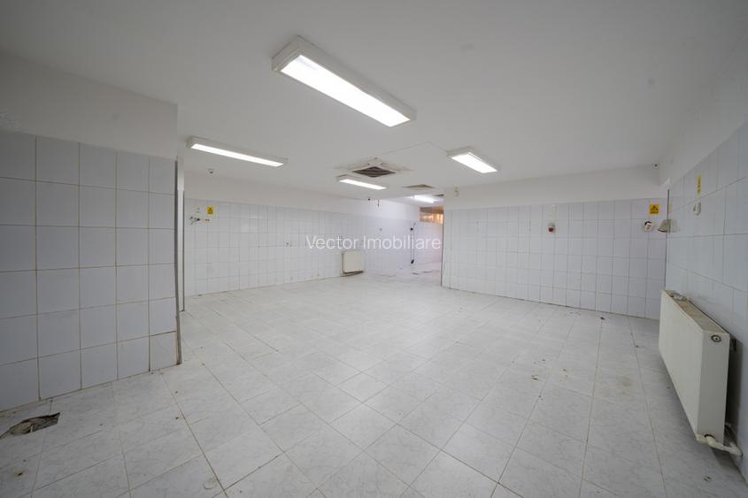 Spatiu productie/birouri*170 mp*Casa individuala*10 min metrou*teren 300 mp - 7