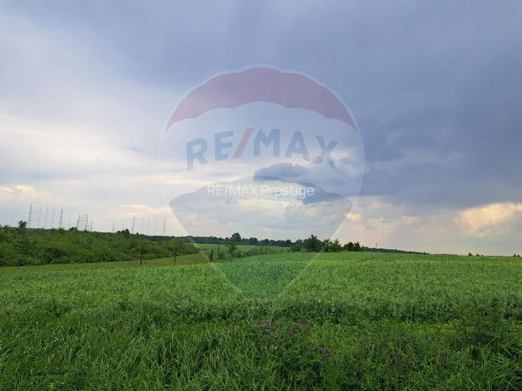 Teren Ciolpani 15.000 mp oportunitate posibilitate lotizare 5000 mp - 2