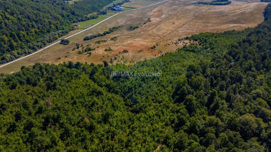 Teren 6,000mp Crizbav / Strada principala - 9